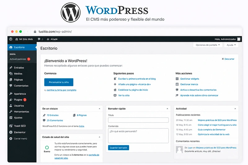 Experto en WordPress